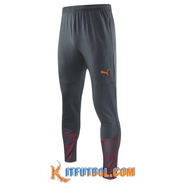 Pantalon Entrenamiento Manchester City Gris 2023/2024 -02