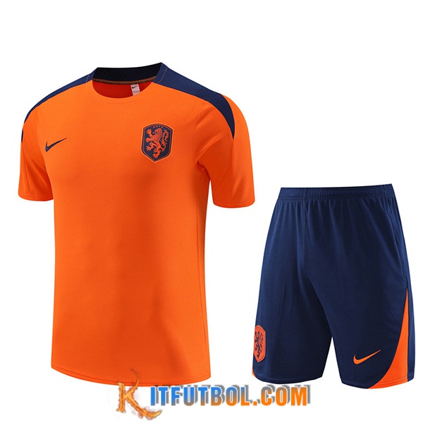 Camiseta Entrenamiento + Cortos Países Bajos Naranja 2023/2024