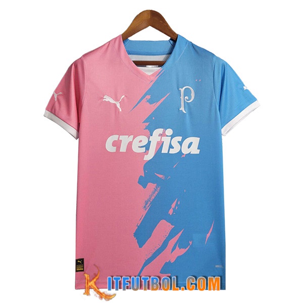 Camiseta Entrenamiento Palmeiras Azul/Rosa 2023/2024