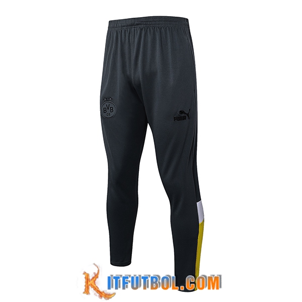Pantalones Entrenamiento Dortmund Gris 2023/2024