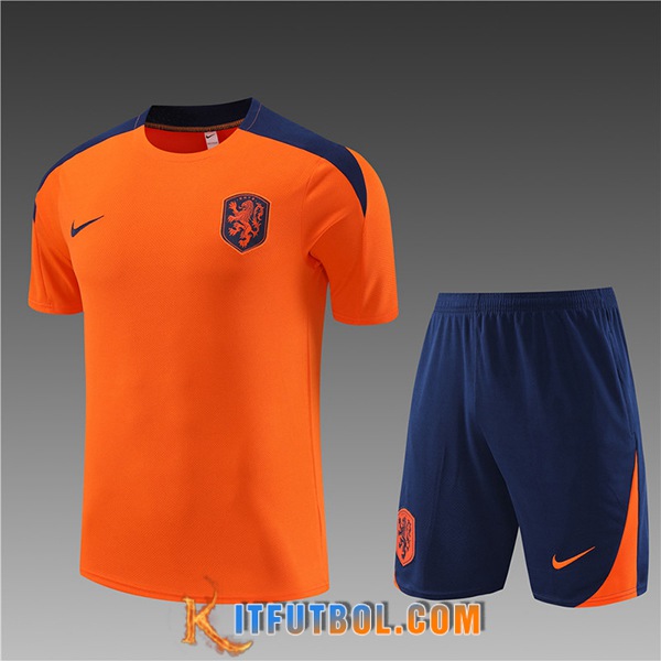Camiseta Entrenamiento + Cortos Países Bajos Ninos Naranja 2023/2024