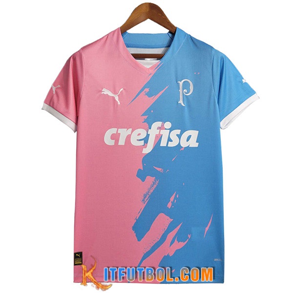 Camisetas De Futbol Palmeiras Commemorative Edition 2023/2024