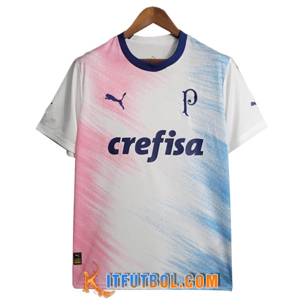 Camisetas De Futbol Palmeiras 2 Commemorative Edition 2023/2024