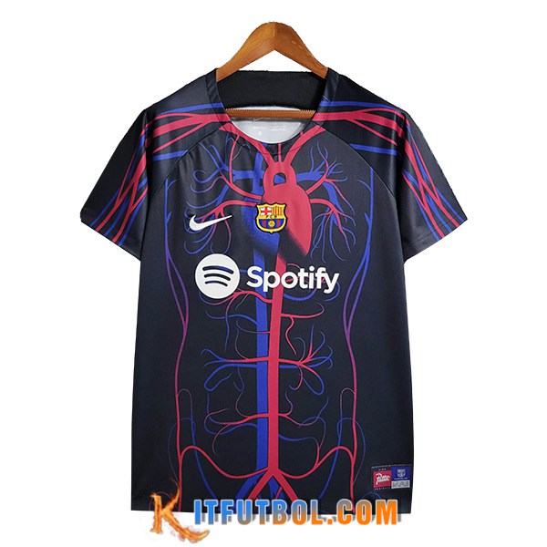Camisetas De Futbol FC Barcelona Special Edition 2023/2024