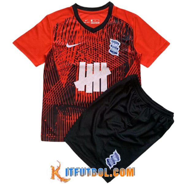Camisetas De Futbol Birmingham City Ninos Segunda 2023/2024