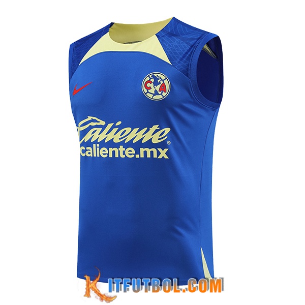 Chalecos De Futbol Club America Azul/Verde 2024/2025