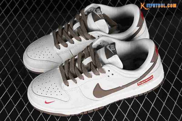 Nike SB Dunk Low Blanco/Pardo XD1688-001