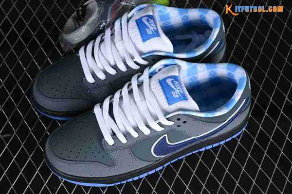 Nike SB Dunk Low Gris/Azul 313170-342