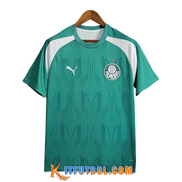 Camiseta Entrenamiento Palmeiras Verde/Blanco 2024/2025