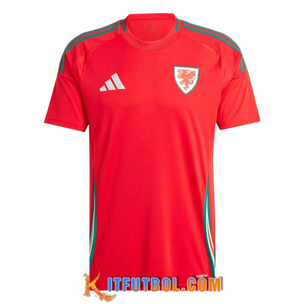 Camiseta Equipo Nacional Gales Primera 2024/2025