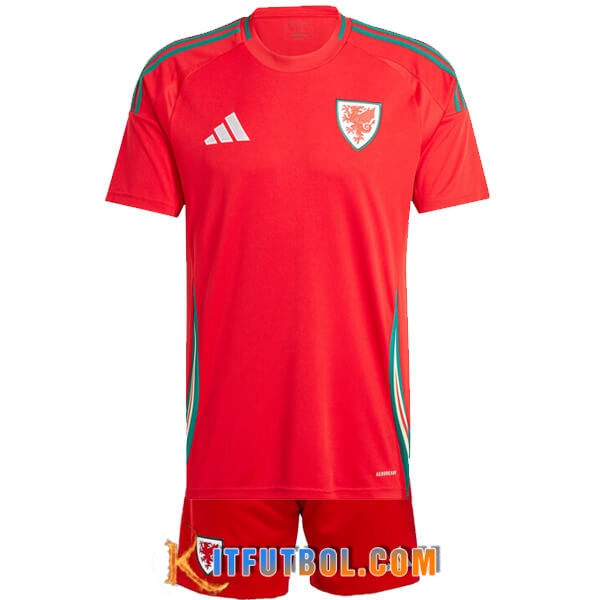 Camisetas De Futbol Gales Ninos Primera 2024/2025