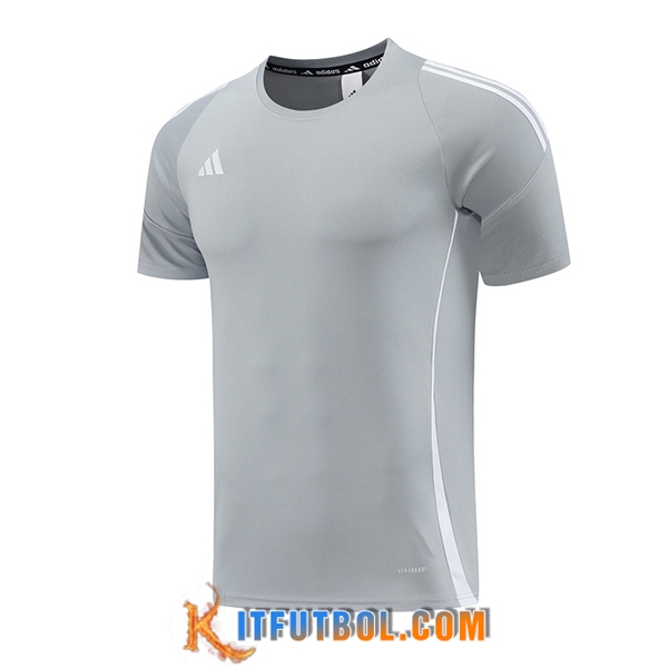 Camiseta Entrenamiento Adidas Gris/Blanco 2024/2025