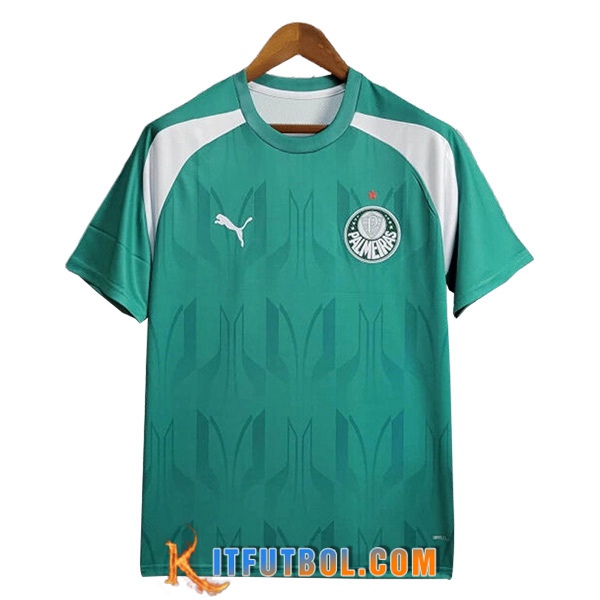 Camiseta Entrenamiento Palmeiras Verde/Blanco 2024/2025