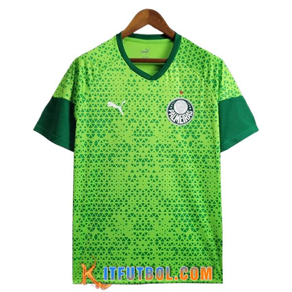 Camiseta Entrenamiento Palmeiras Verde 2024/2025