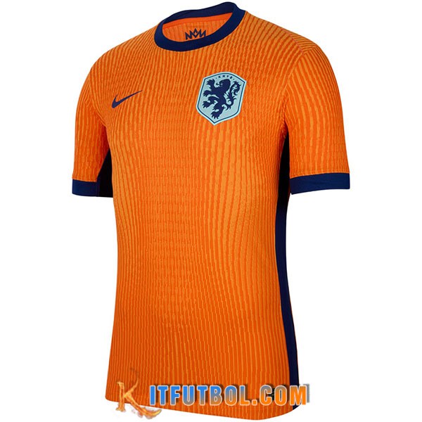 Nueva Camiseta Equipo Nacional Países Bajos Primera 2024/2025