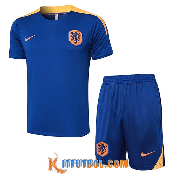Camiseta Entrenamiento + Cortos Países Bajos Azul/Amarillo 2024/2025