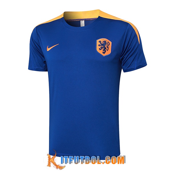 Camiseta Entrenamiento Países Bajos Azul/Amarillo 2024/2025