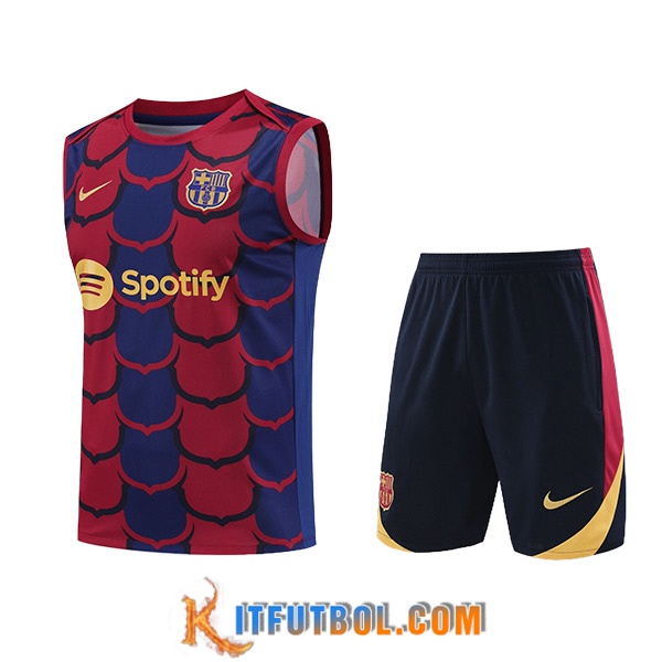 Camiseta Entrenamiento sin mangas FC Barcelona Azul/Rojo 2024/2025