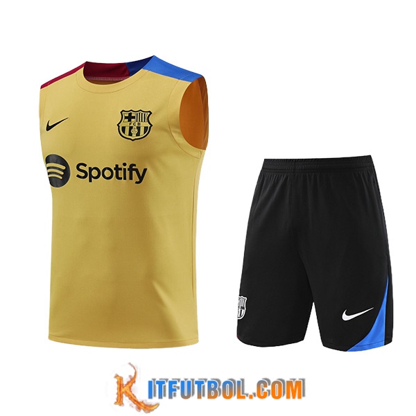 Camiseta Entrenamiento sin mangas FC Barcelona Amarillo/Azul/Rojo 2024/2025