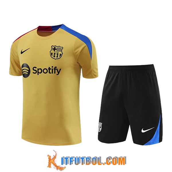 Camiseta Entrenamiento FC Barcelona Amarillo/Azul/Rojo 2024/2025