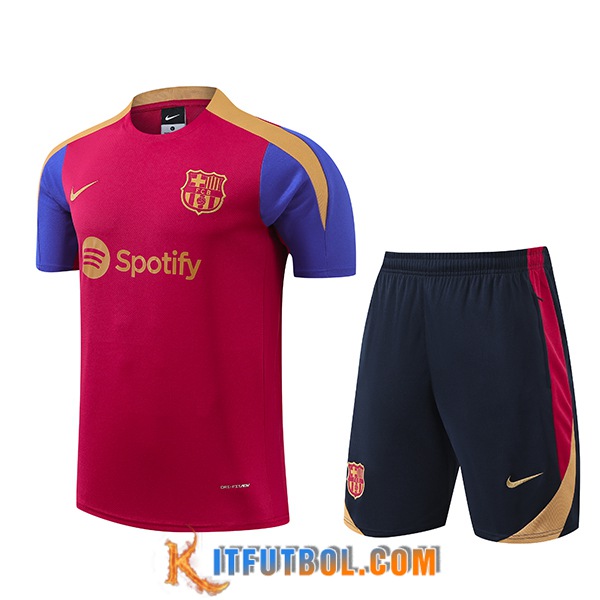 Camiseta Entrenamiento FC Barcelona Rojo/Azul/Amarillo 2024/2025