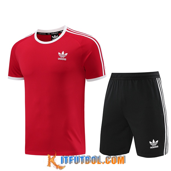 Camiseta Entrenamiento Adidas Rojo 2024/2025
