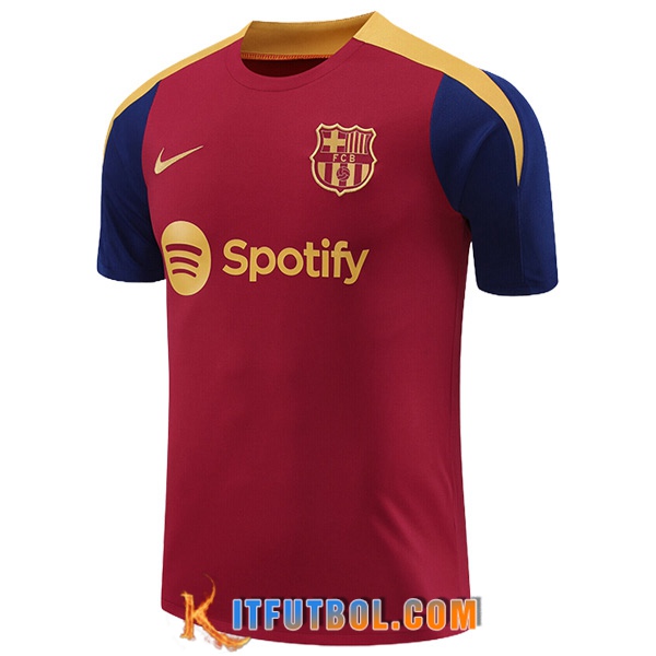Camiseta Entrenamiento FC Barcelona Rojo/Amarillo/Azul 2024/2025