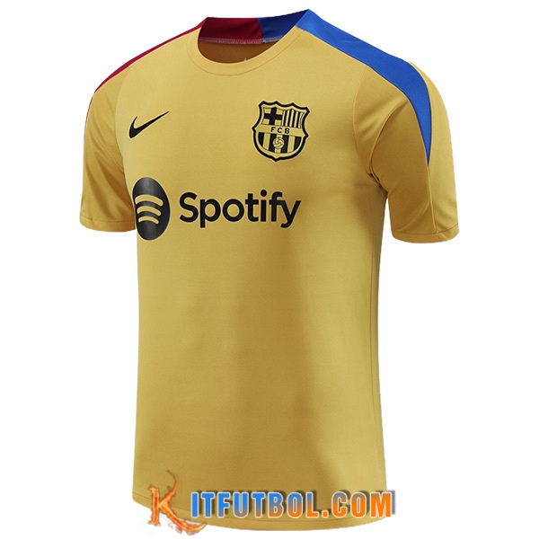 Camiseta Entrenamiento FC Barcelona Amarillo/Azul/Rojo 2024/2025