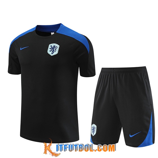 Camiseta Entrenamiento Países Bajos Negro/Azul 2024/2025