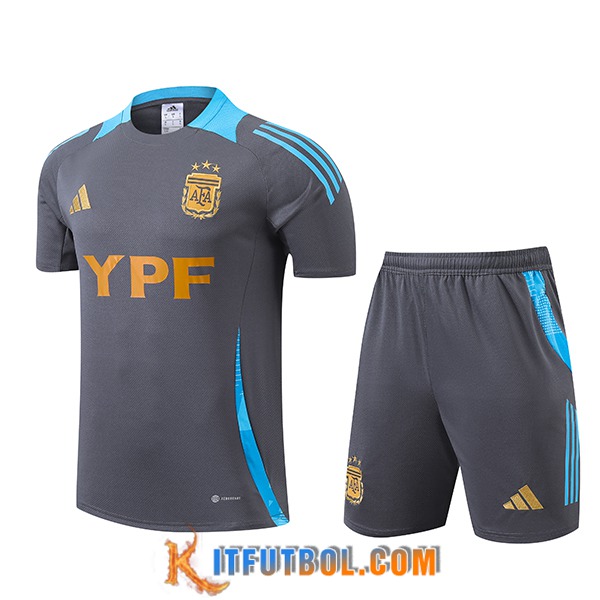 Camiseta Entrenamiento Argentina Gris/Azul 2024/2025