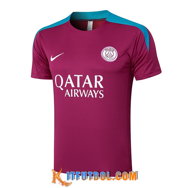 Camiseta Entrenamiento PSG Violeta/Azul 2024/2025