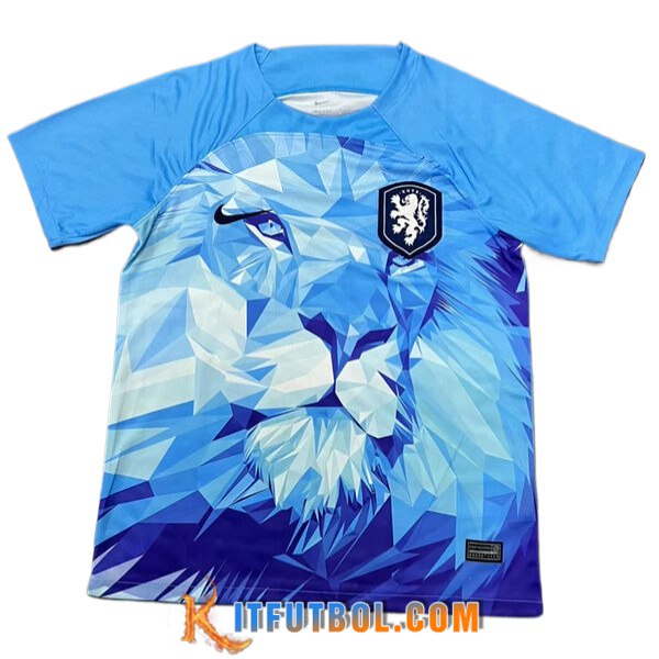 Camiseta Equipo Nacional Países Bajos Special Version Azul 2024/2025