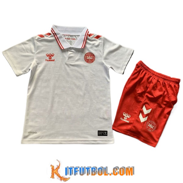 Camisetas De Futbol Dinamarca Ninos Segunda UEFA Euro 2024