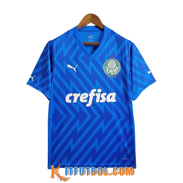 Camisetas De Futbol Palmeiras Portero Azul 2024/2025