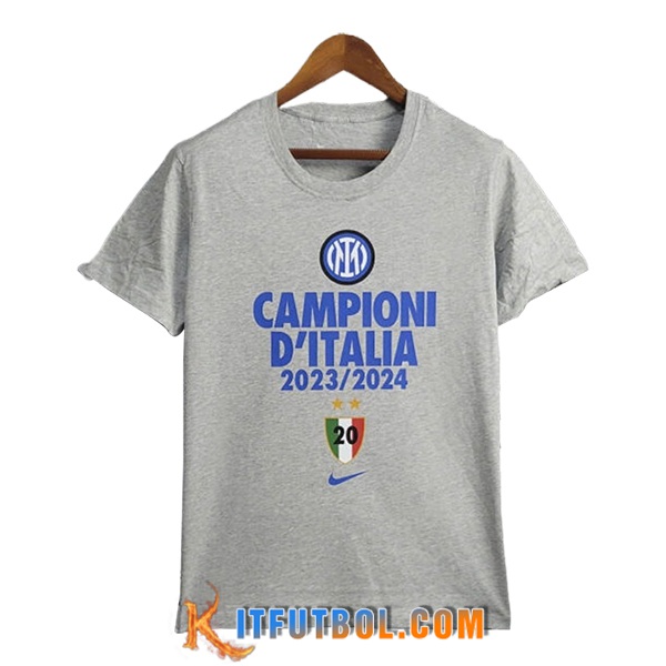 Camisetas De Futbol Inter Milan T-Shirt Champion Gris 2023/2024