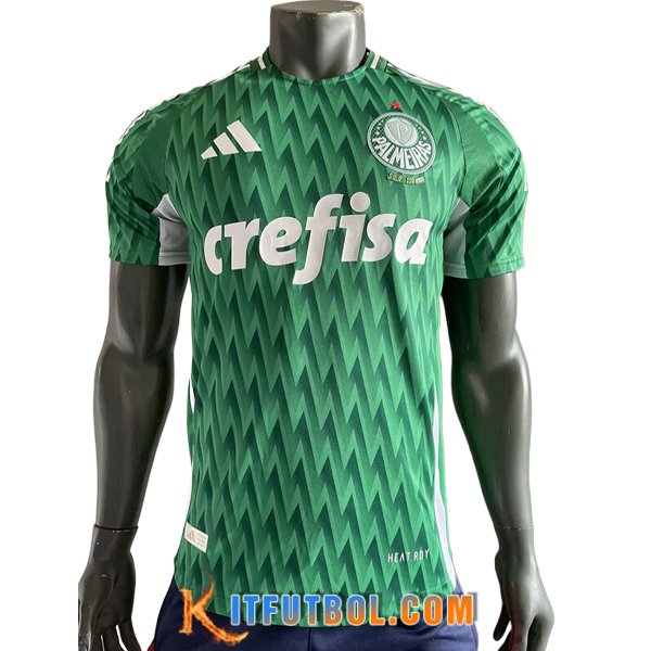 Camisetas De Futbol Palmeiras Special Edition Verde 2024/2025