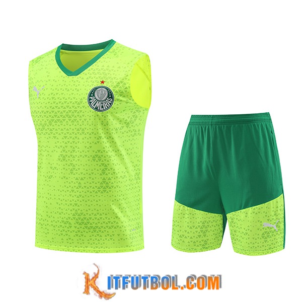 Camiseta Entrenamiento sin mangas Palmeiras Verde/Amarillo 2024/2025