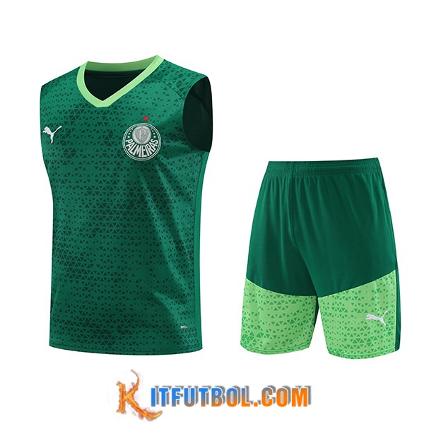 Camiseta Entrenamiento sin mangas Palmeiras Verde 2024/2025