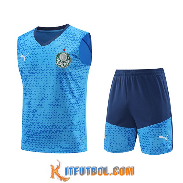 Camiseta Entrenamiento sin mangas Palmeiras Azul 2024/2025