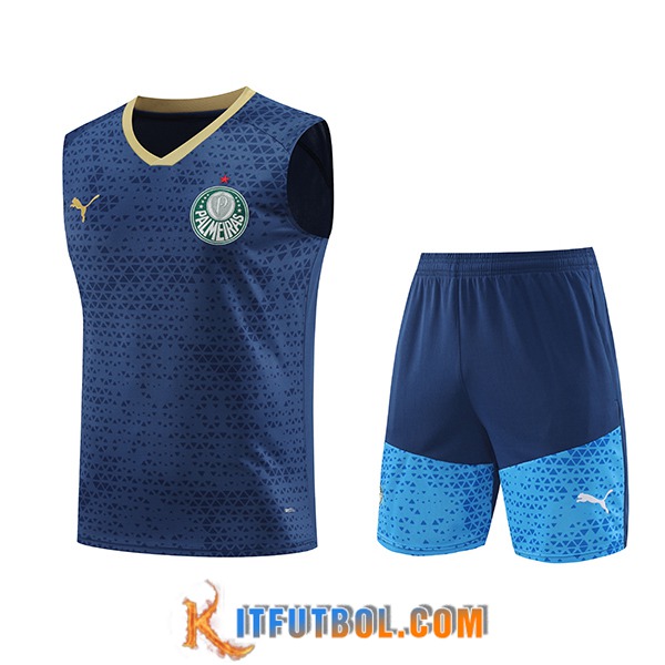 Camiseta Entrenamiento sin mangas Palmeiras Azul marino 2024/2025