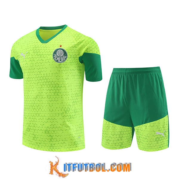 Camiseta Entrenamiento Palmeiras Verde/Amarillo 2024/2025