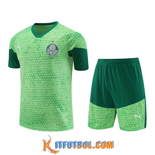 Camiseta Entrenamiento Palmeiras Verde 2024/2025 -04