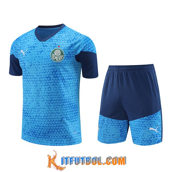 Camiseta Entrenamiento Palmeiras Azul 2024/2025