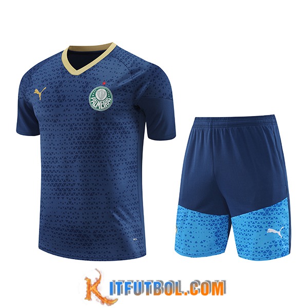 Camiseta Entrenamiento Palmeiras Azul marino 2024/2025