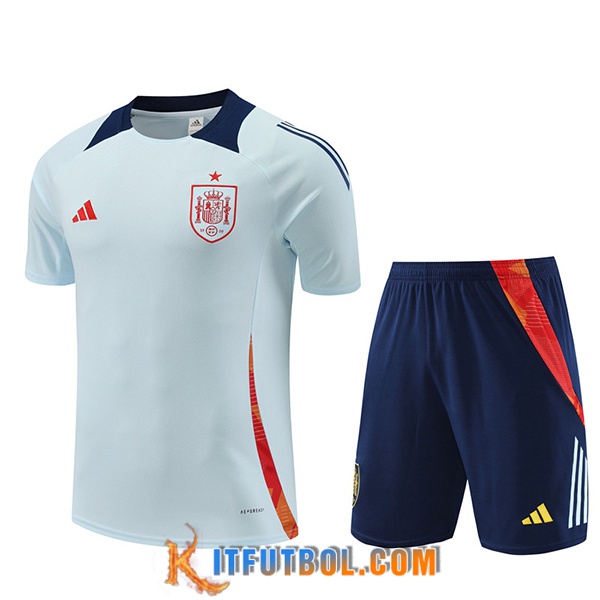 Camiseta Entrenamiento España Azul Claro 2024/2025