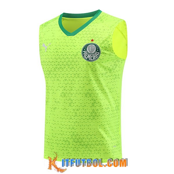 Chalecos De Futbol Palmeiras Verde/Amarillo 2024/2025