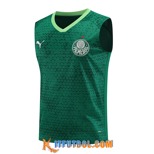Chalecos De Futbol Palmeiras Verde 2024/2025
