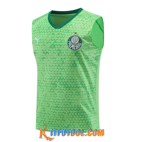 Chalecos De Futbol Palmeiras Verde 2024/2025 -02