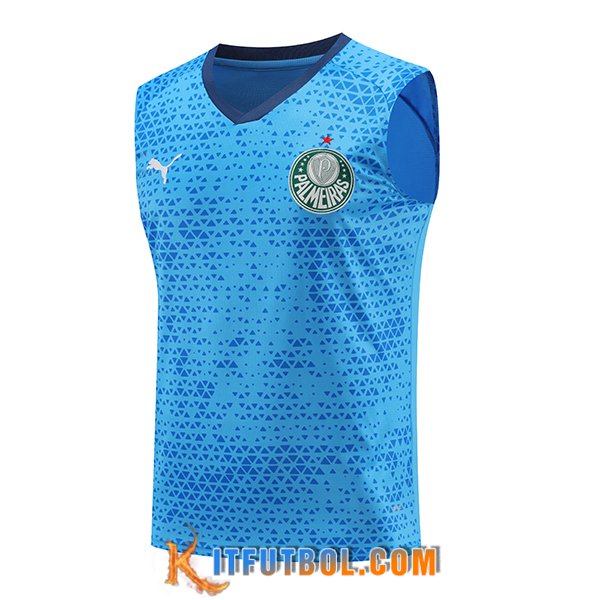 Chalecos De Futbol Palmeiras Azul 2024/2025
