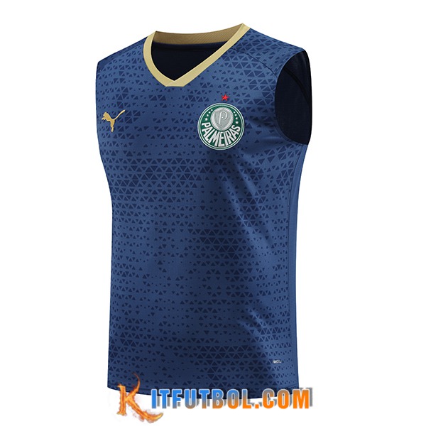 Chalecos De Futbol Palmeiras Azul marino 2024/2025